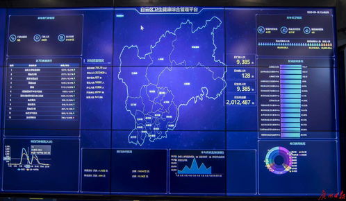 數據驅動治理新范式 白云區如何深耕37億條政務數據服務