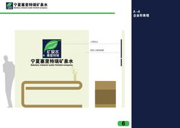 kevin zyt 品牌視覺體系構建方案 從logo設計到企業(yè)形象策劃